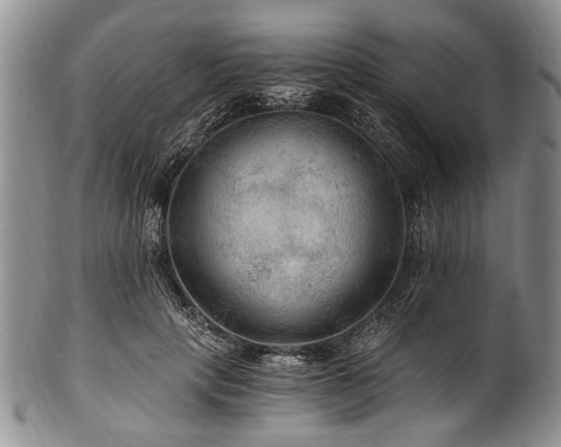 X0000101120649200806261437