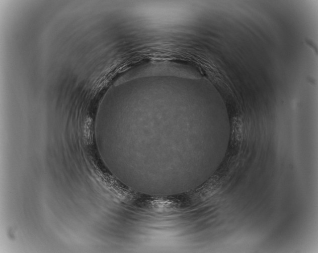 X0000101120650200806261437