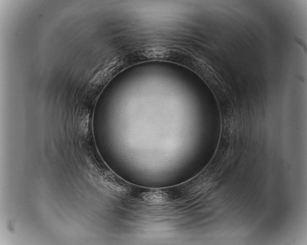 X0000101120652200806261437