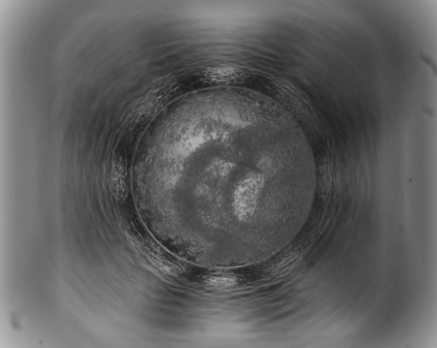 X0000101120653200806261437