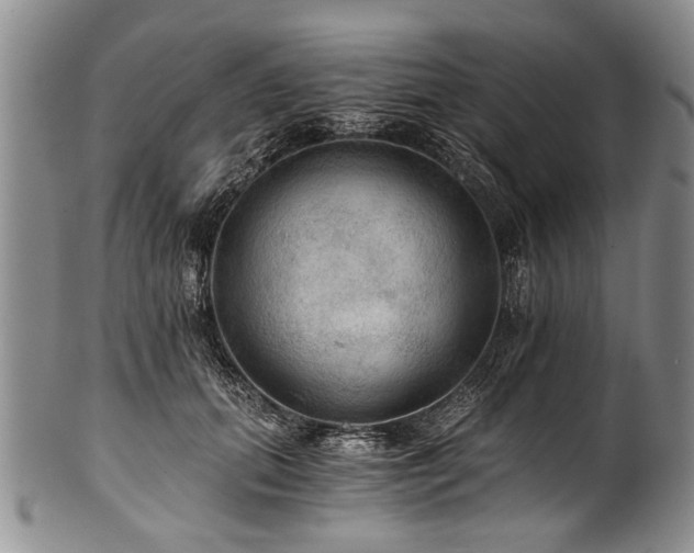 X0000101120655200806261437