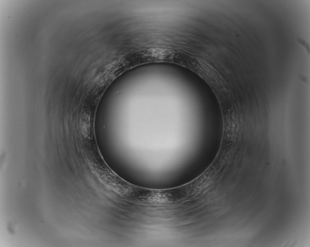 X0000101120656200806261437