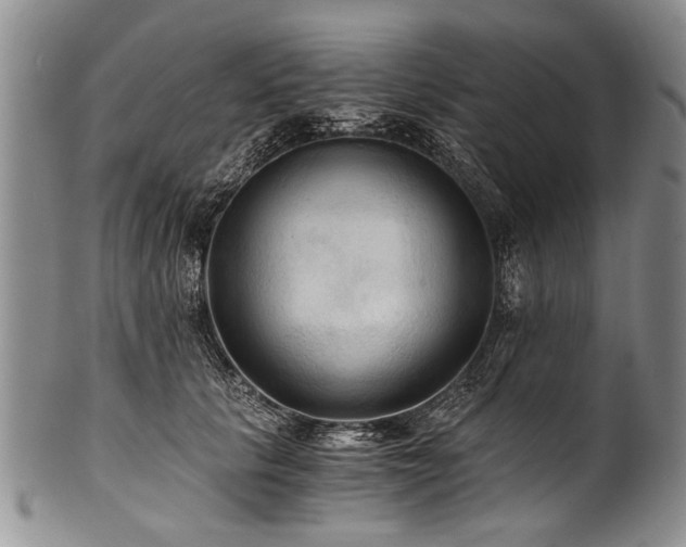 X0000101120657200806261437