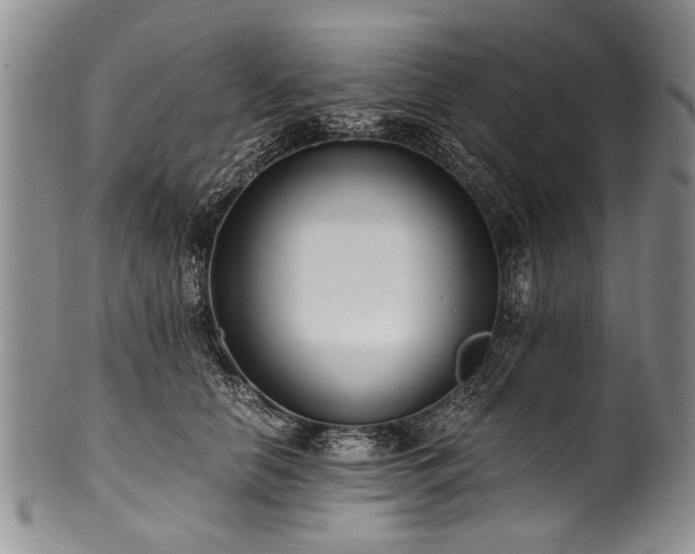 X0000101120658200806261437