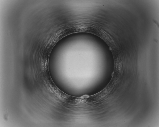 X0000101120660200806261437
