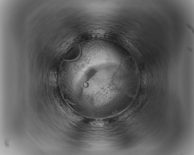 X0000101120661200806261437