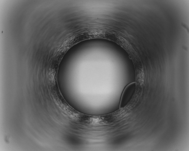 X0000101120662200806261437