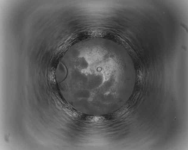 X0000101120663200806261437