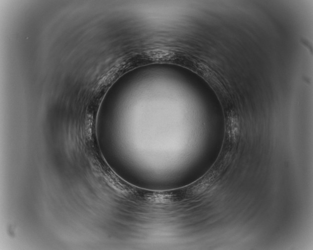 X0000101120664200806261437