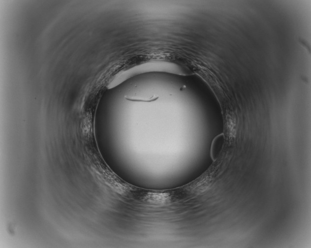 X0000101120665200806261437