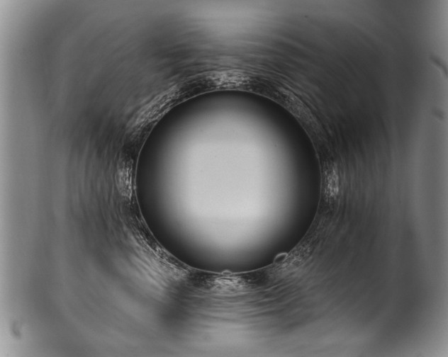 X0000101120666200806261437