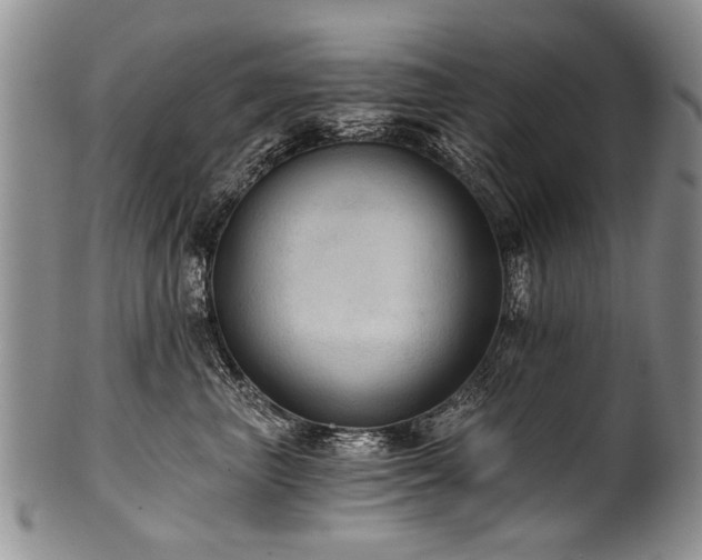 X0000101120667200806261438