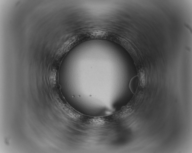 X0000101120668200806261438