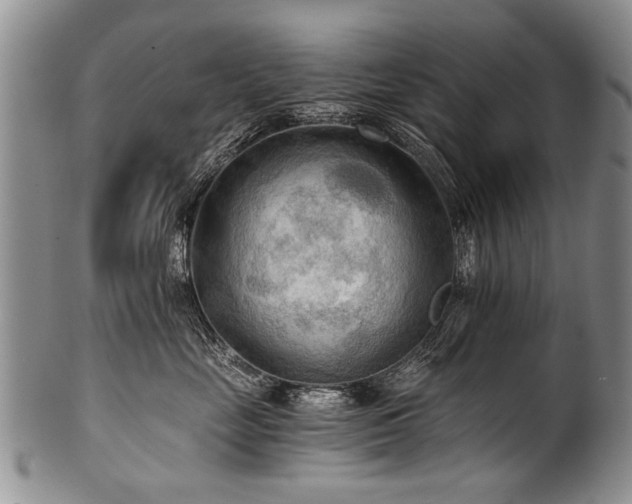 X0000101120669200806261438