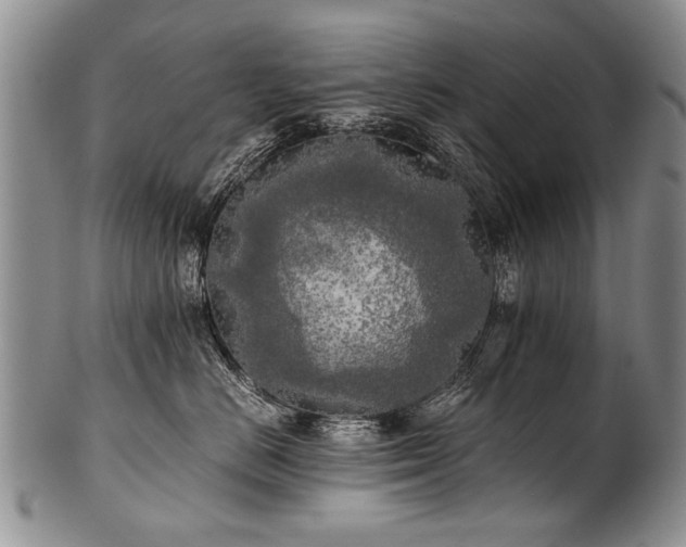X0000101120670200806261438