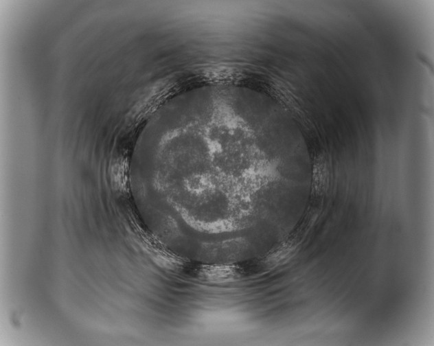 X0000101120671200806261438