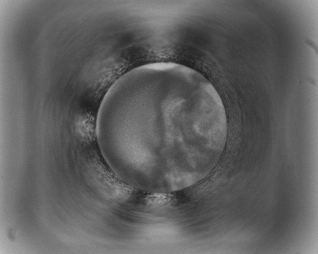 X0000101120672200806261438