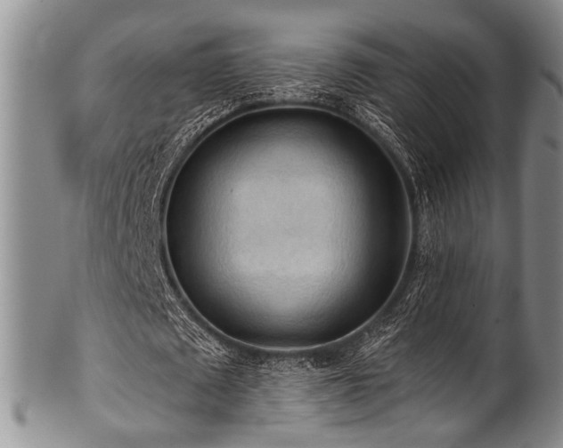 X0000101120673200806261437