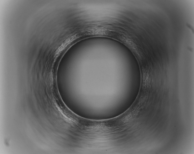 X0000101120674200806261437