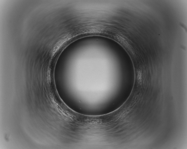 X0000101120676200806261437