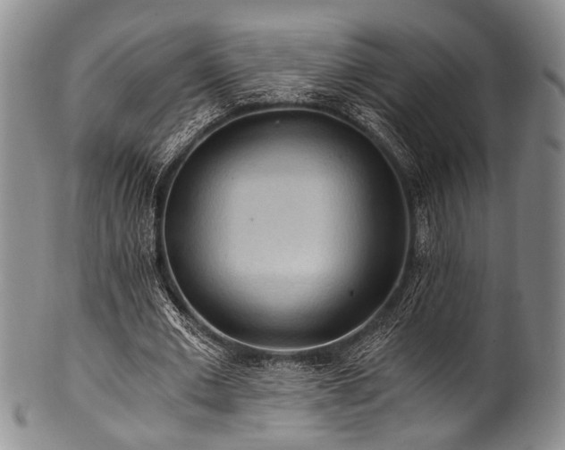 X0000101120677200806261437