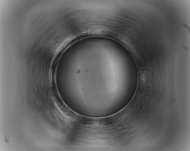 X0000101120678200806261437