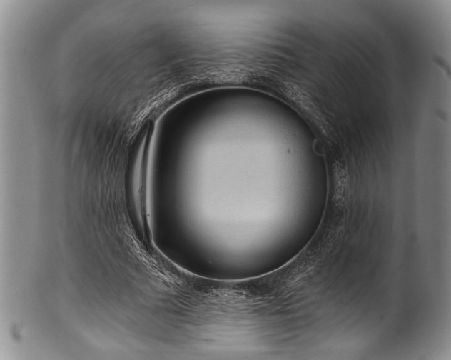 X0000101120681200806261437