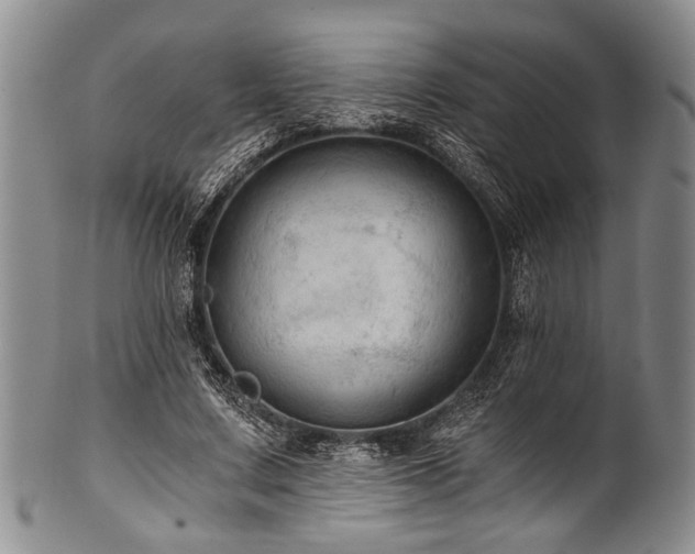 X0000101120683200806261437