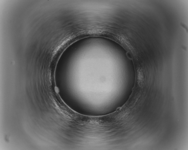 X0000101120684200806261437