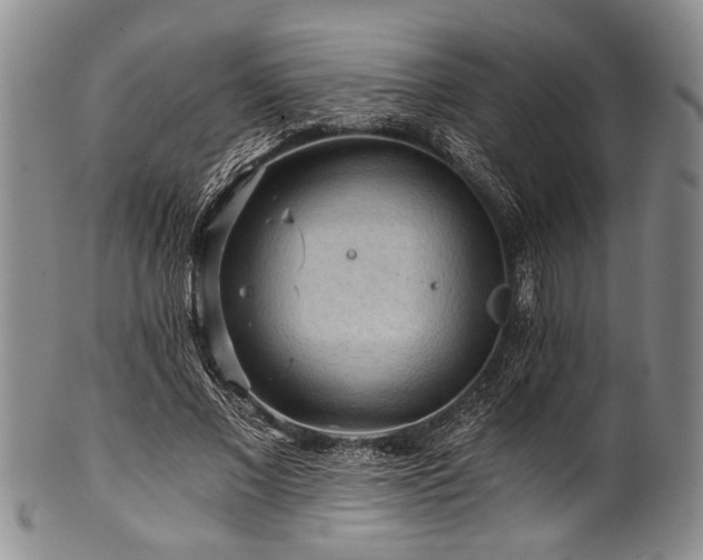 X0000101120685200806261437