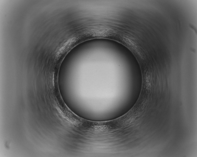 X0000101120686200806261437