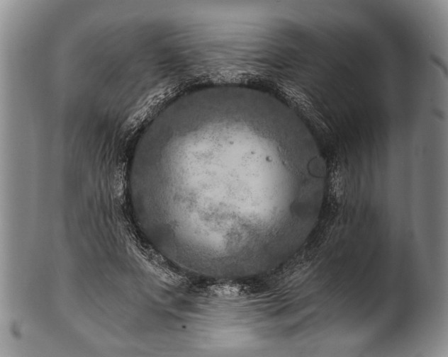X0000101120687200806261437