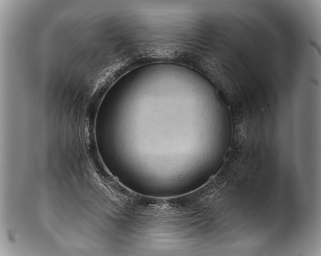 X0000101120688200806261437