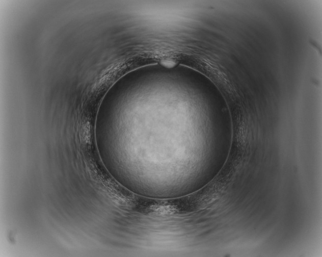 X0000101120689200806261437