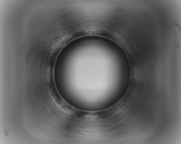 X0000101120690200806261437