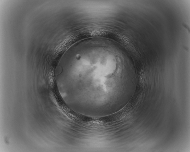 X0000101120691200806261437