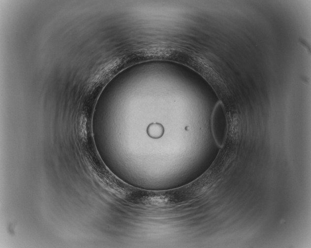 X0000101120692200806261437
