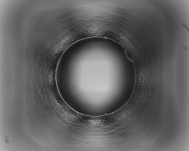 X0000101120693200806261437