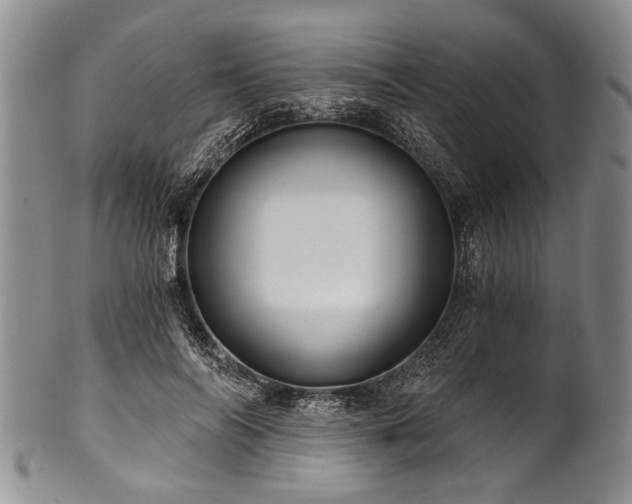 X0000101120694200806261437