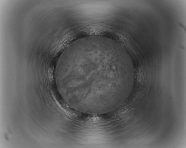 X0000101120695200806261437