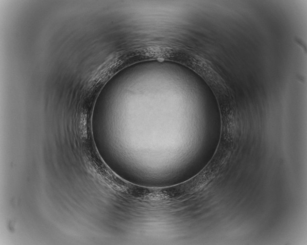 X0000101120696200806261437