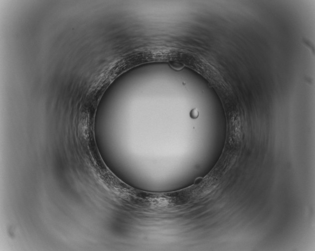 X0000101120698200806261437