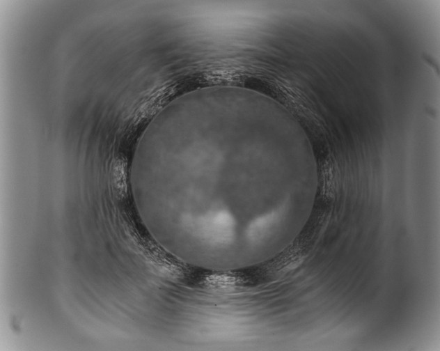 X0000101120699200806261436