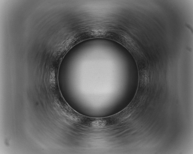 X0000101120700200806261436