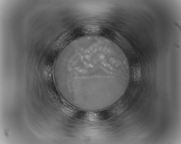 X0000101120701200806261436