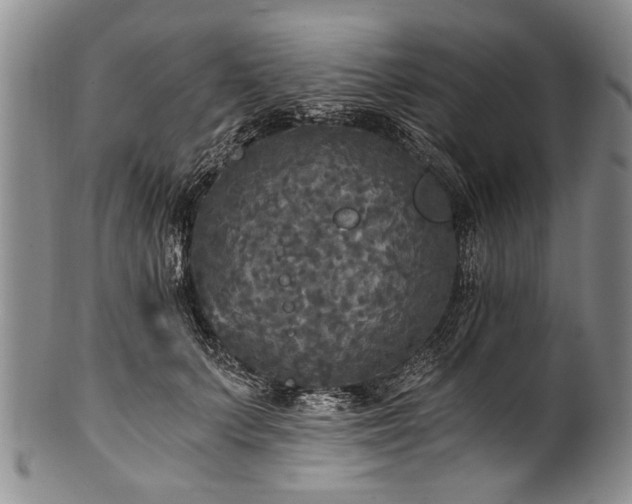 X0000101120703200806261436