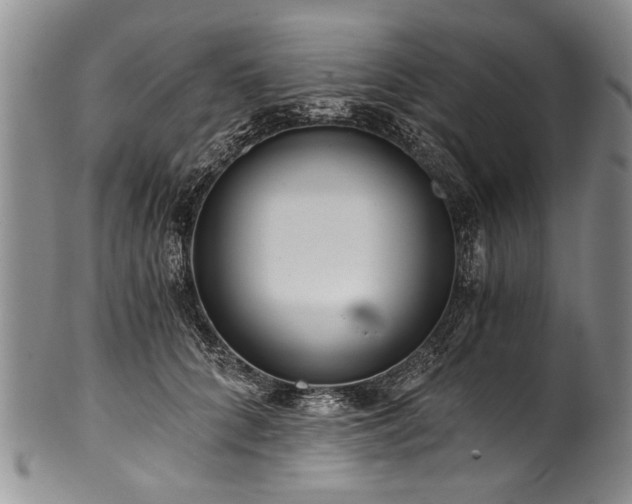 X0000101120704200806261436