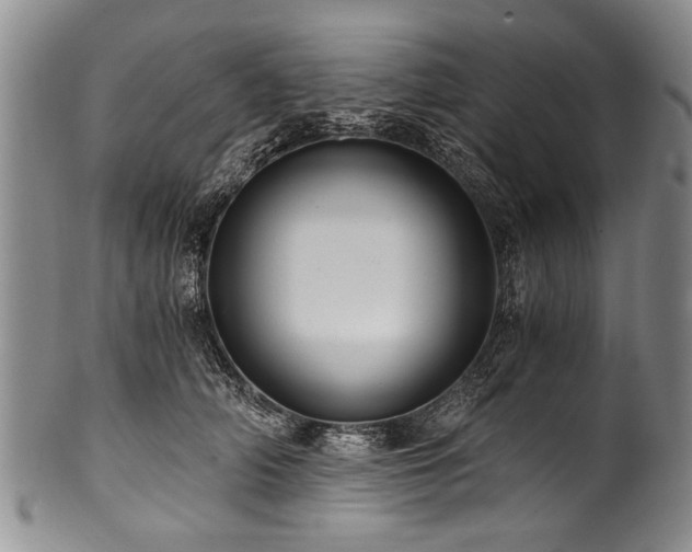 X0000101120706200806261436