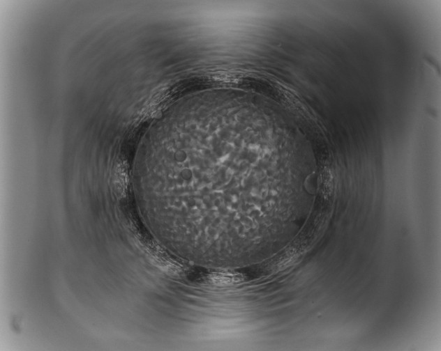 X0000101120707200806261436