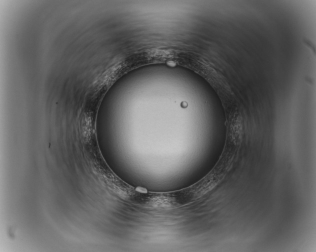 X0000101120708200806261436